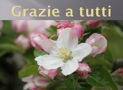 http://www.coroparrocchialetassullo.it/EnZiro24.jpg